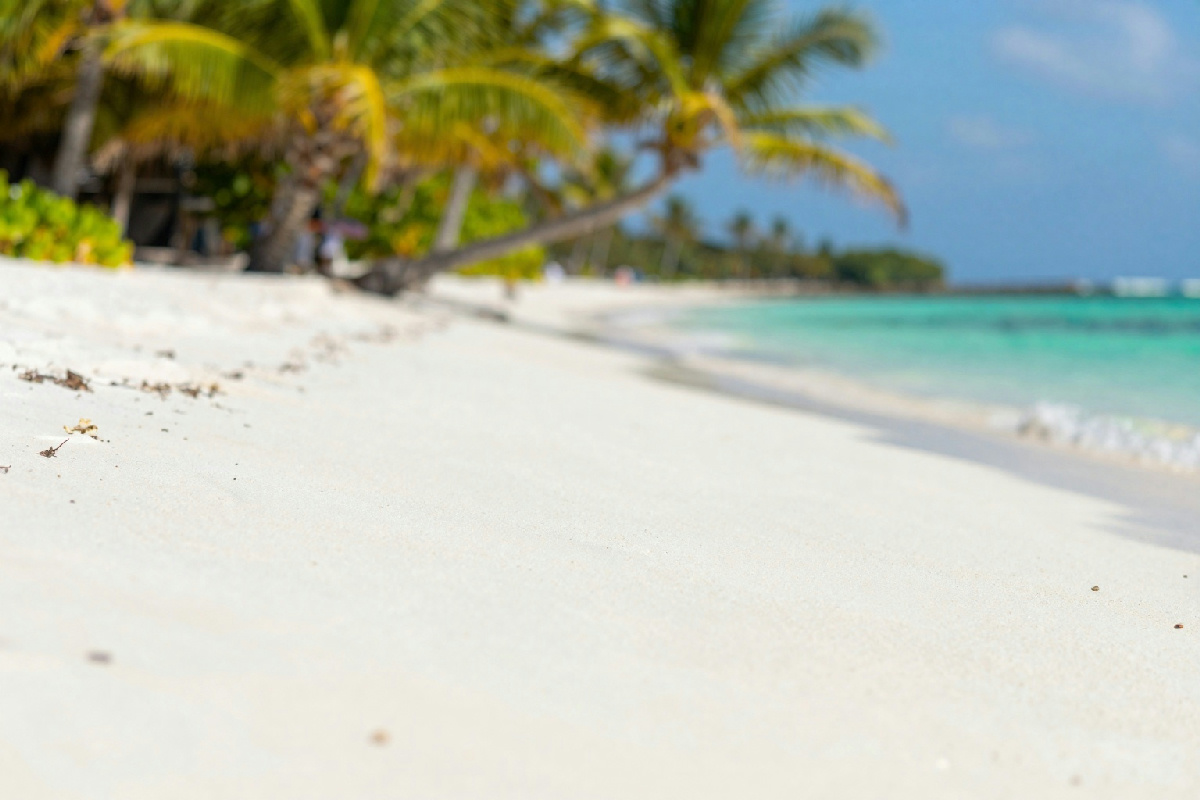 Seychelles: l'incanto delle spiagge e l'amore eterno degli italiani per questo paradiso esotico